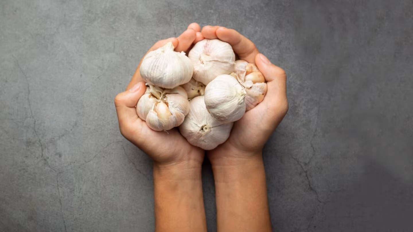 Das ist keine Dekoration: Warum man Knoblauch auf den Balkon hängen sollte und welche Vorteile das hat