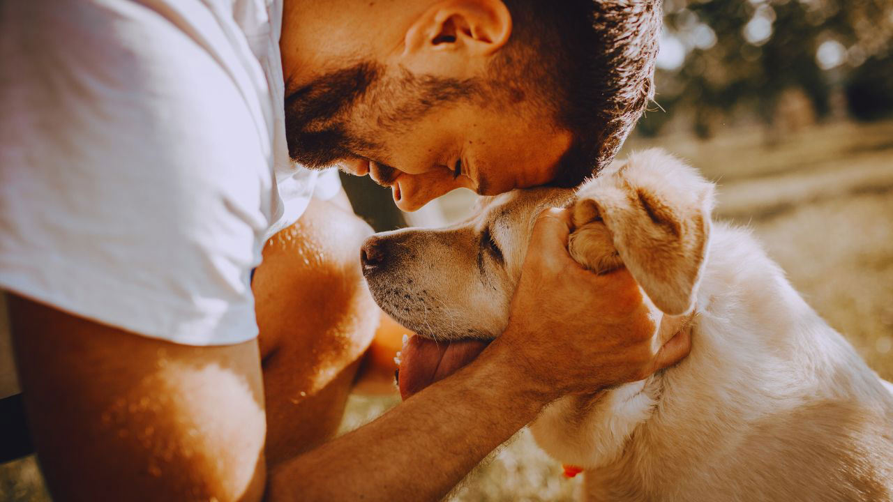 Sprechen Sie mit Ihrem Hund wie mit einem Kind? So interpretiert sein Gehirn das